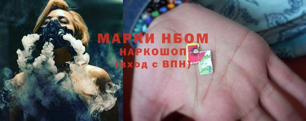 сатива Верея