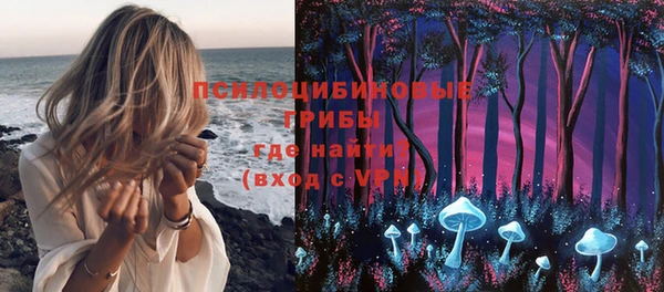 шишки Верхнеуральск
