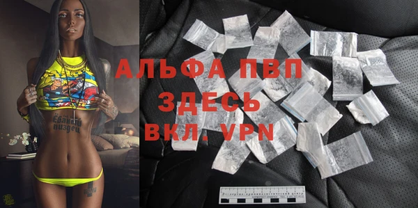 сатива Верея