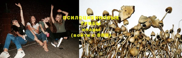шишки Верхнеуральск