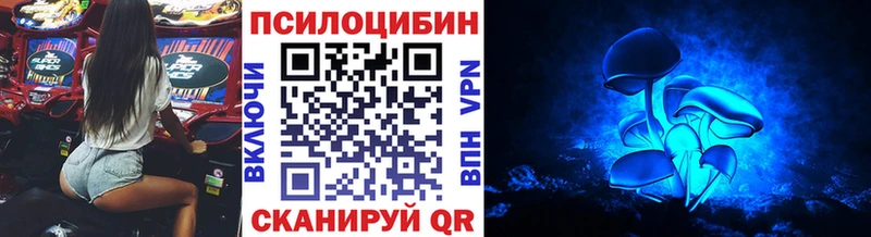 Галлюциногенные грибы прущие грибы  маркетплейс какой сайт  Кизляр  наркота 